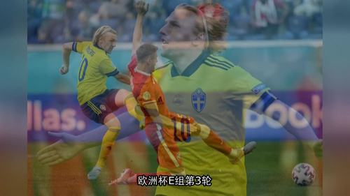 直播:瑞典VS波兰